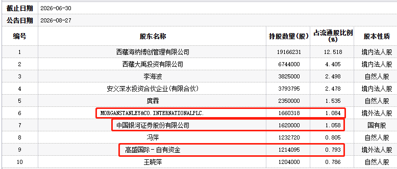 深水海纳股价跌9.61% 中国银河大摩高盛等持股