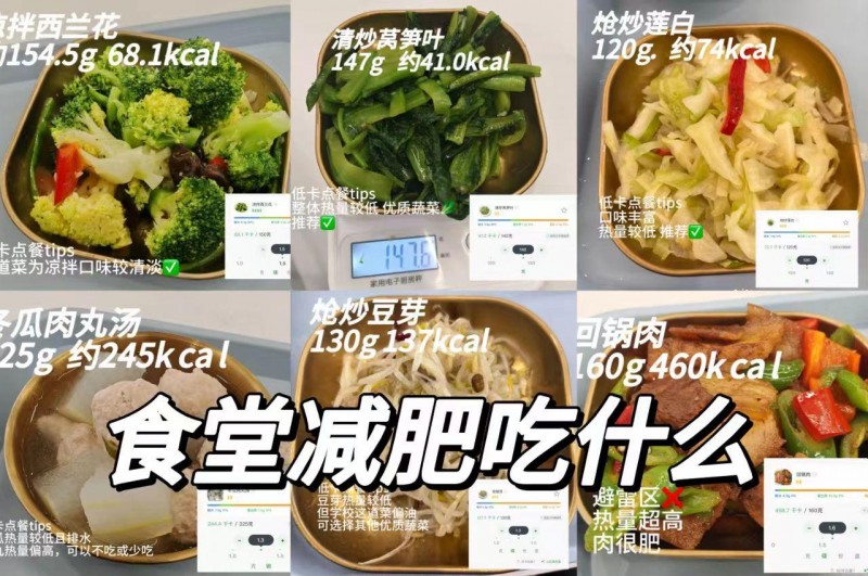 AI赋能校园减重，轻小云团队以医校联动探索体重管理新路径