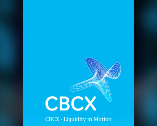 CBCX携手K11艺术基金会亮相The Moon Party Seoul 2026 跨界探索金融与艺术交流
