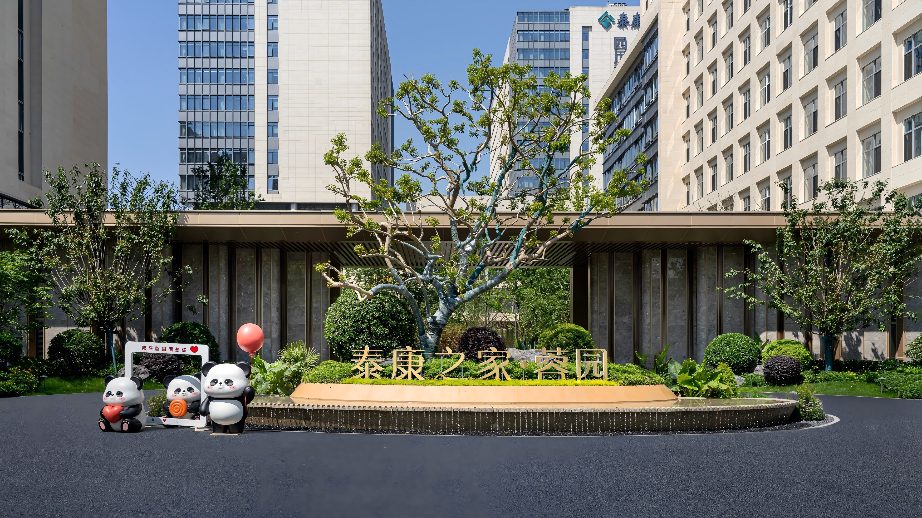 从居家崩溃到专业托住,认知症家庭如何走出“一人失能,全家失衡”的困局?