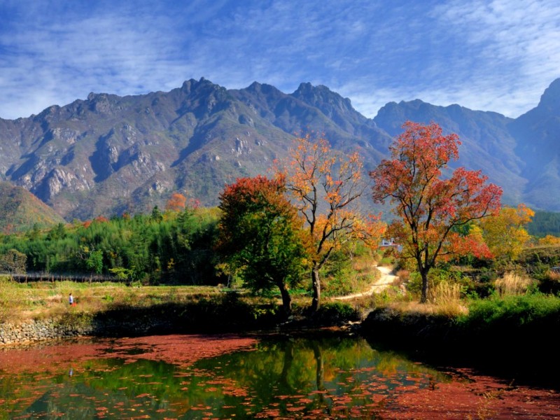 大别山下绘新景 老区振兴谱新篇
