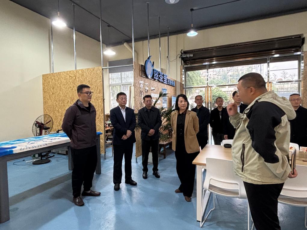 湘西州政协开展十三届五次会议第218号重点提案办理协商