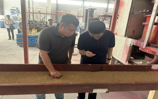统战聚力育新农 种业兴乡谱新篇